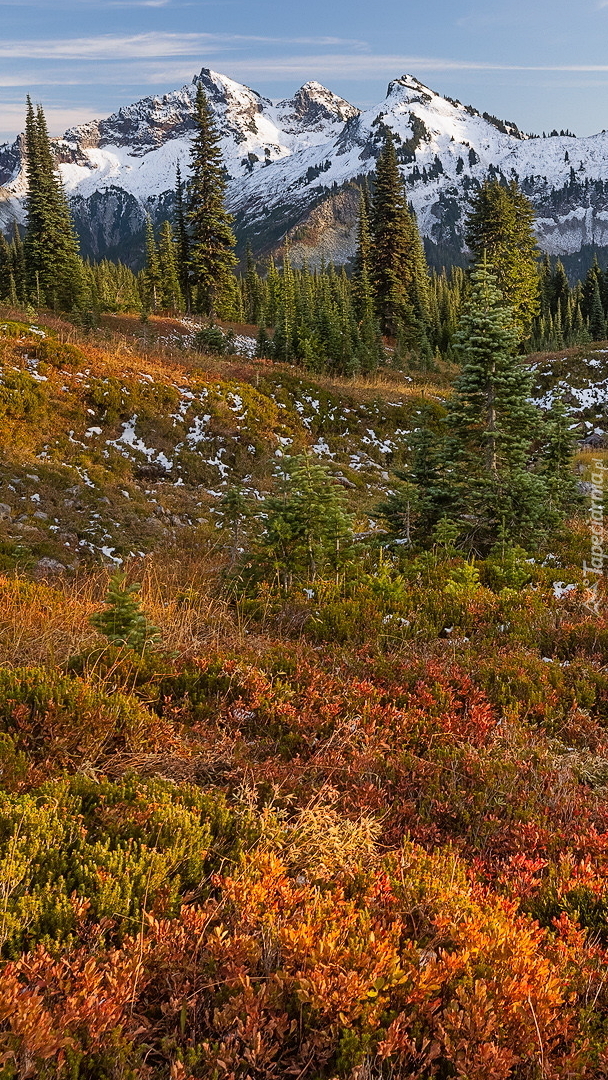 Park Narodowy Mount Rainier i góry w tle