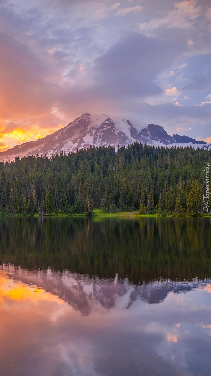 Park Narodowy Mount Rainier o poranku