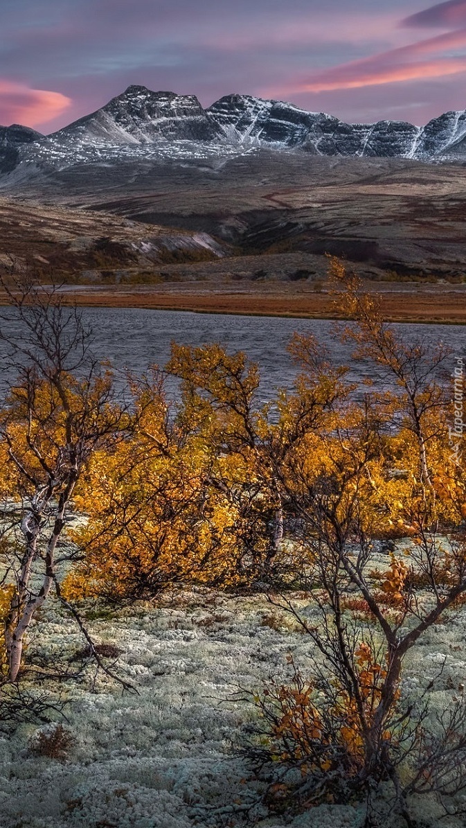 Park Narodowy Rondane