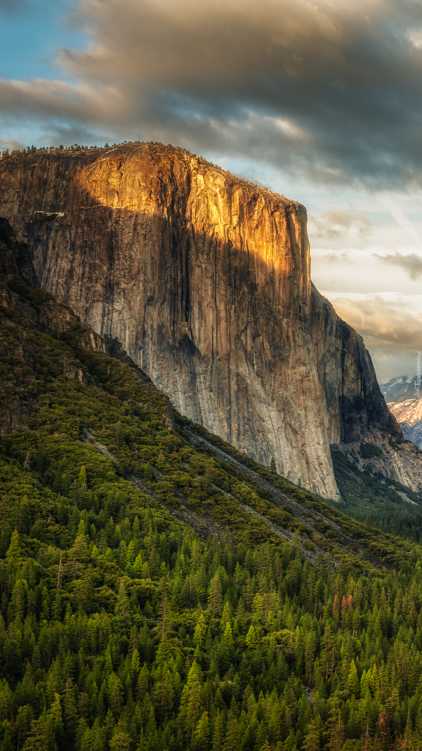 Park Narodowy Yosemite