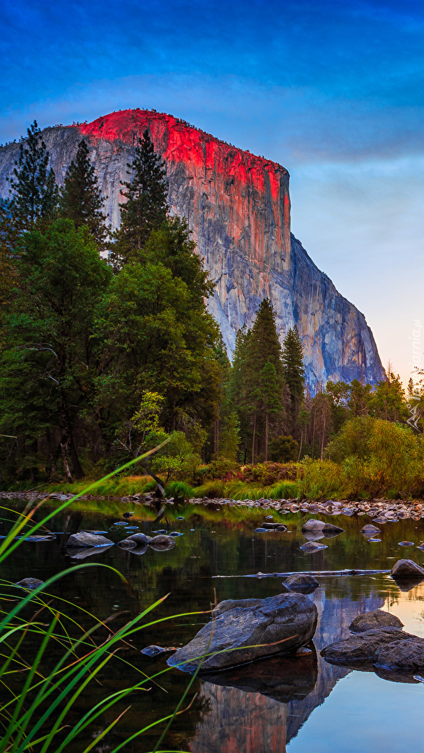 Park Narodowy Yosemite w Kaliforni