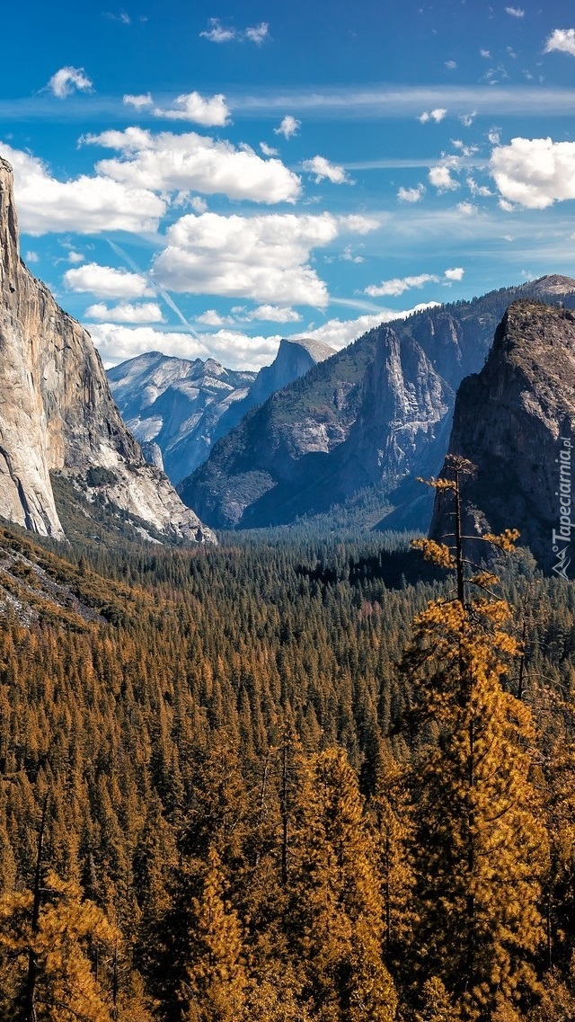 Park Narodowy Yosemite w Kalifornii