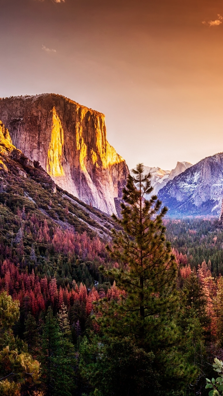 Park Narodowy Yosemite w Kalifornii