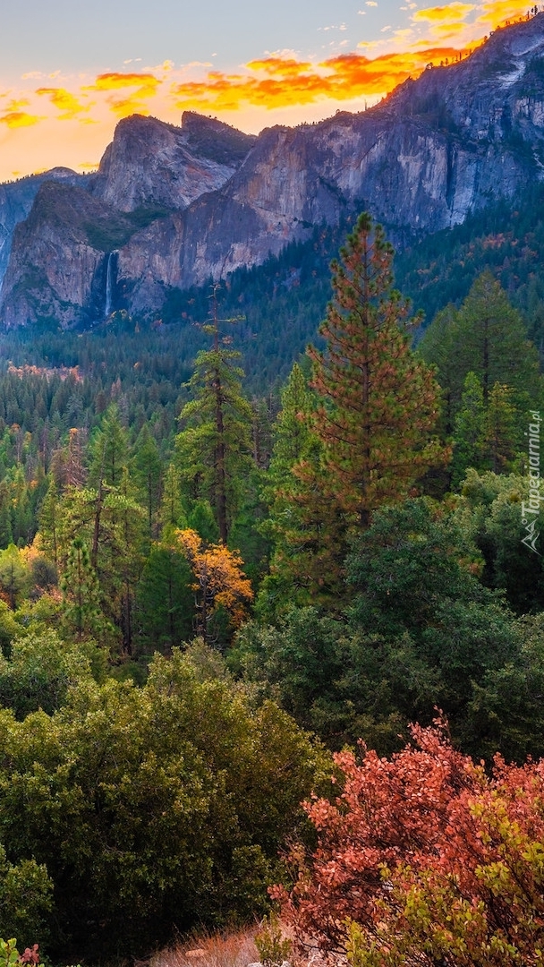 Park Narodowy Yosemite w Kalifornii