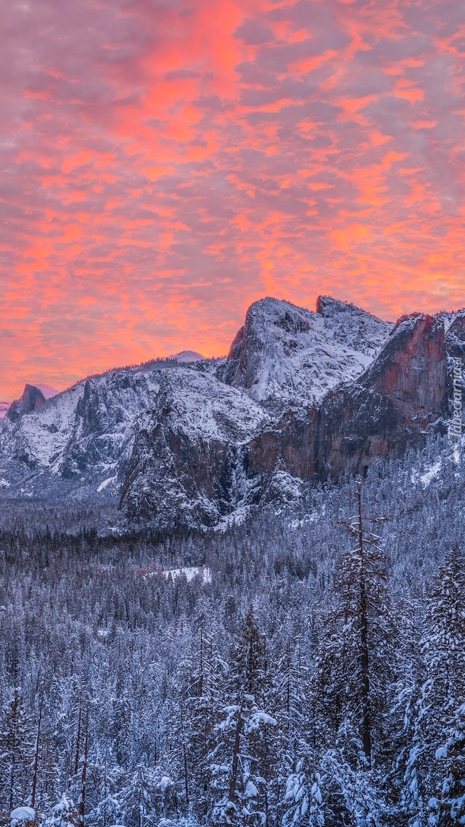 Park Narodowy Yosemite zimową porą