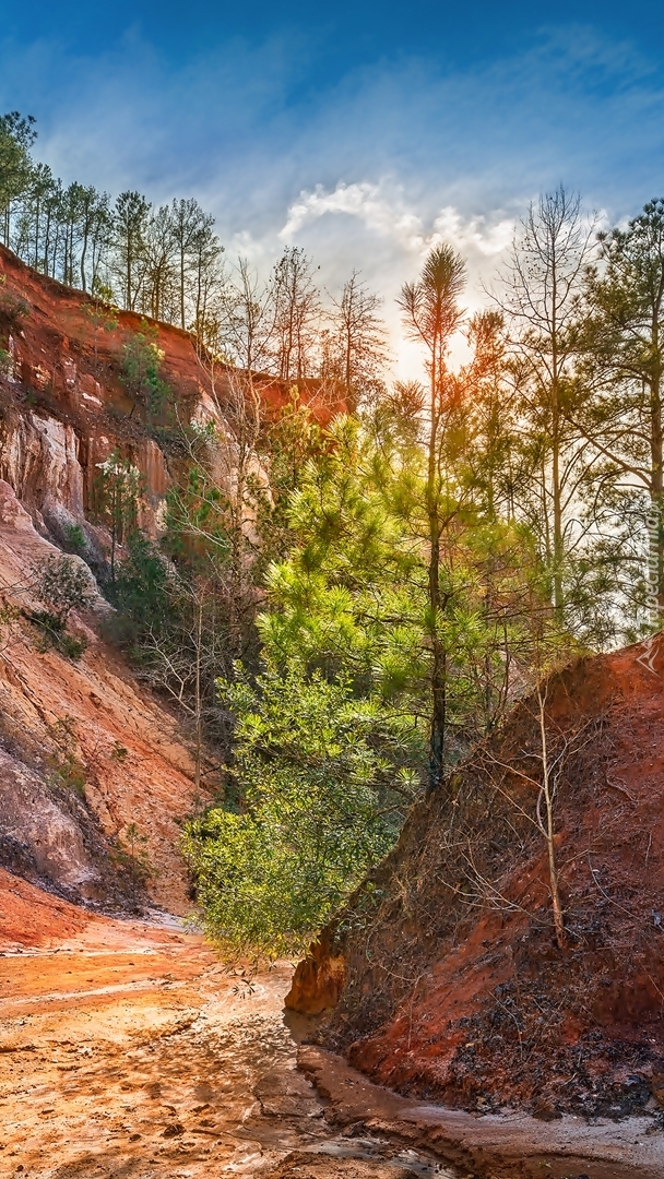 Park stanowy Providence Canyon