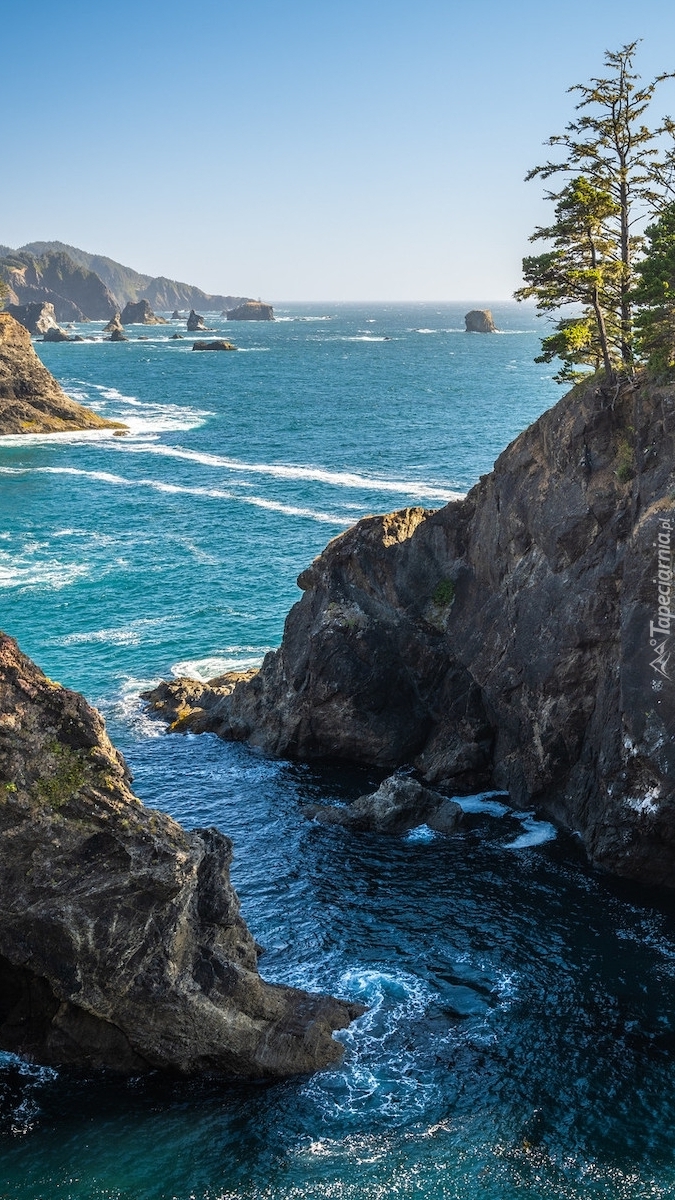 Park stanowy Samuel H.Boardman State Scenic Corridor w Oregonie