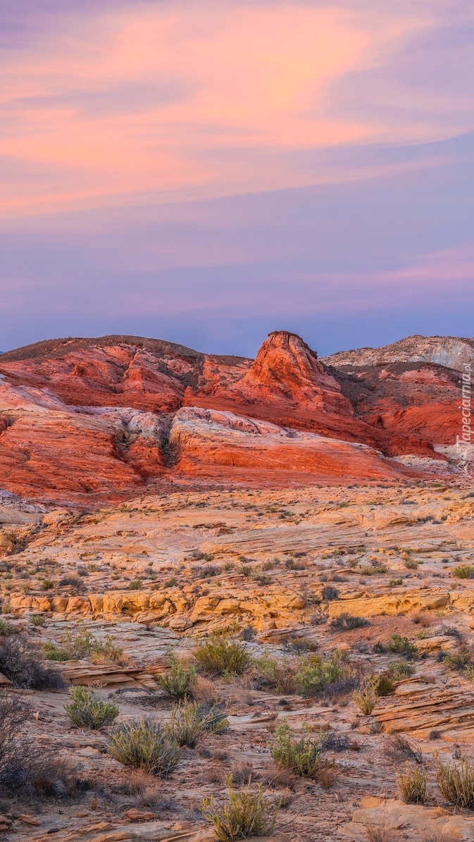 Park stanowy Valley of Fire w Nevadzie