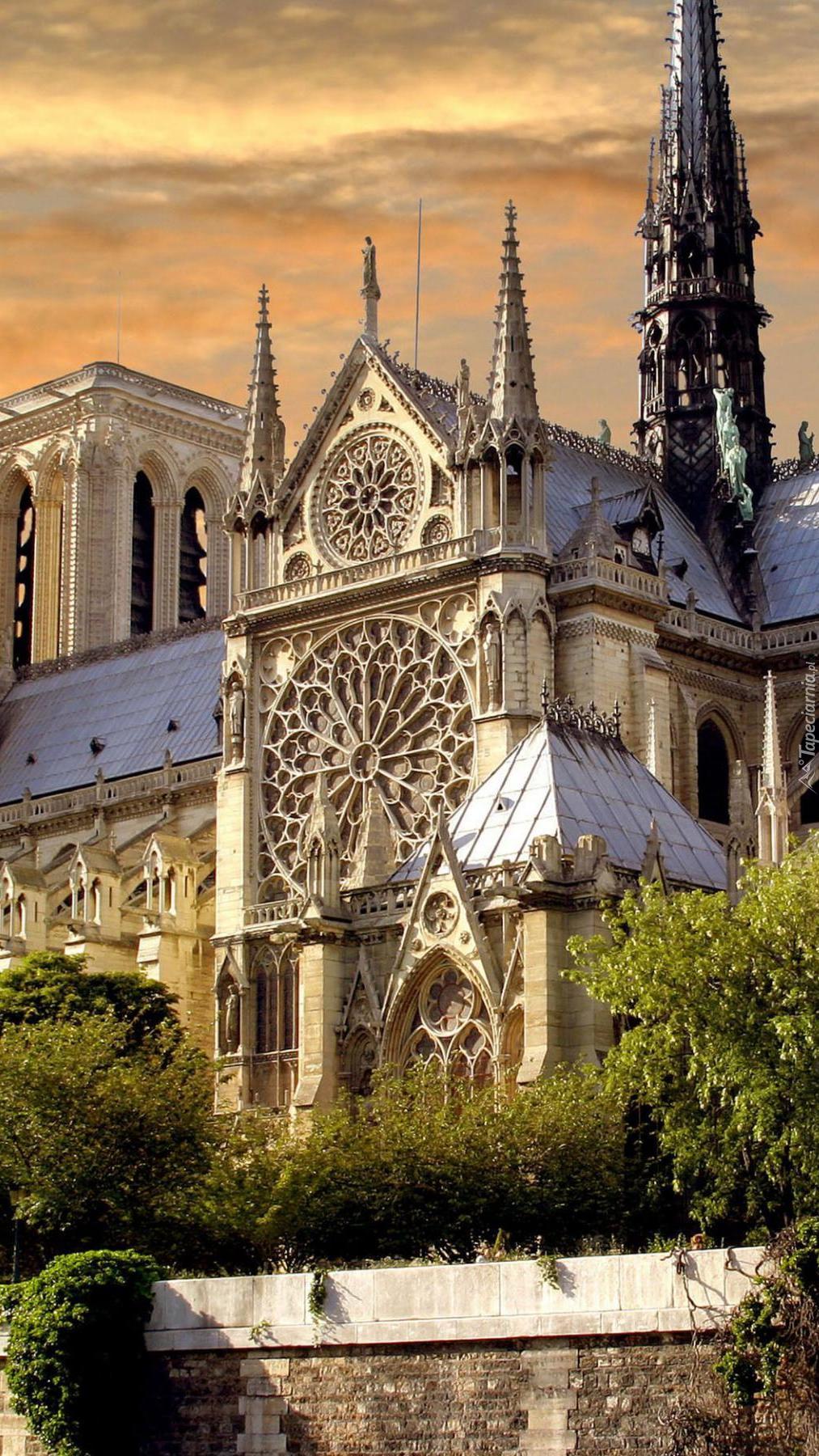 Paryska katedra Notre Dame