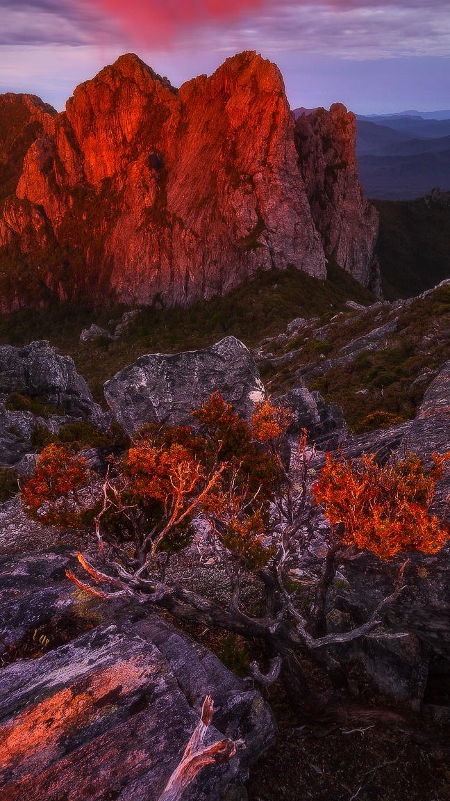 Pasmo górskie Arthur Range w Australii