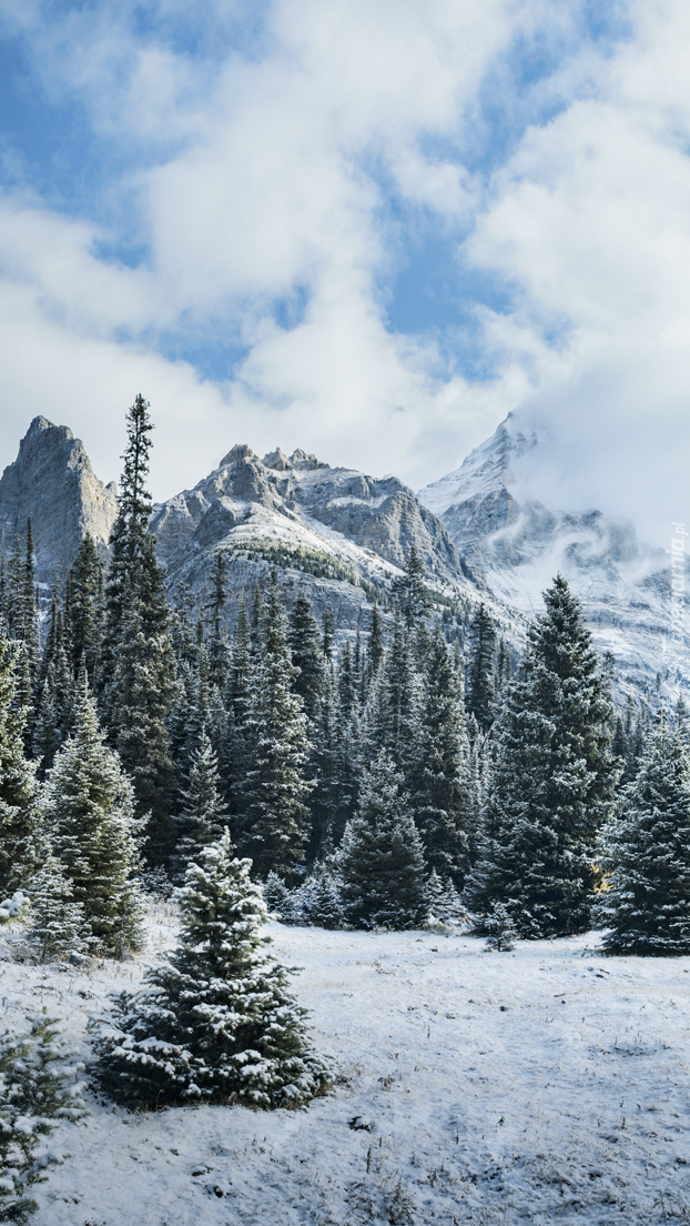 Pasmo górskie Canadian Rockies zimowa porą