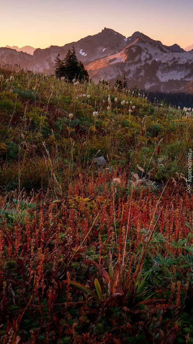 Pasmo górskie Tatoosh Range