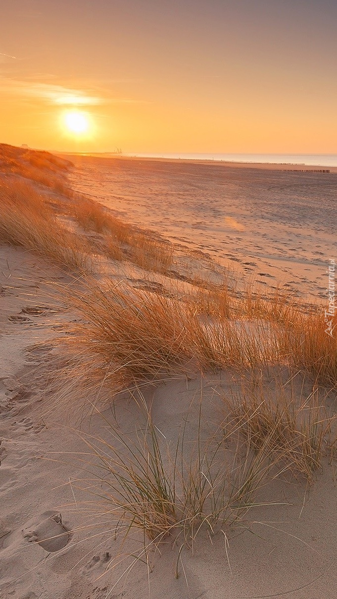 Piaszczysta plaża o wschodzie słońca