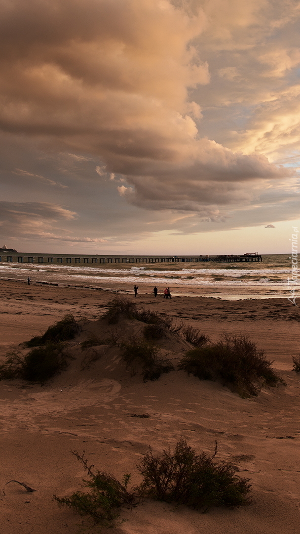 Piaszczysta plaża o zachodzie słońca