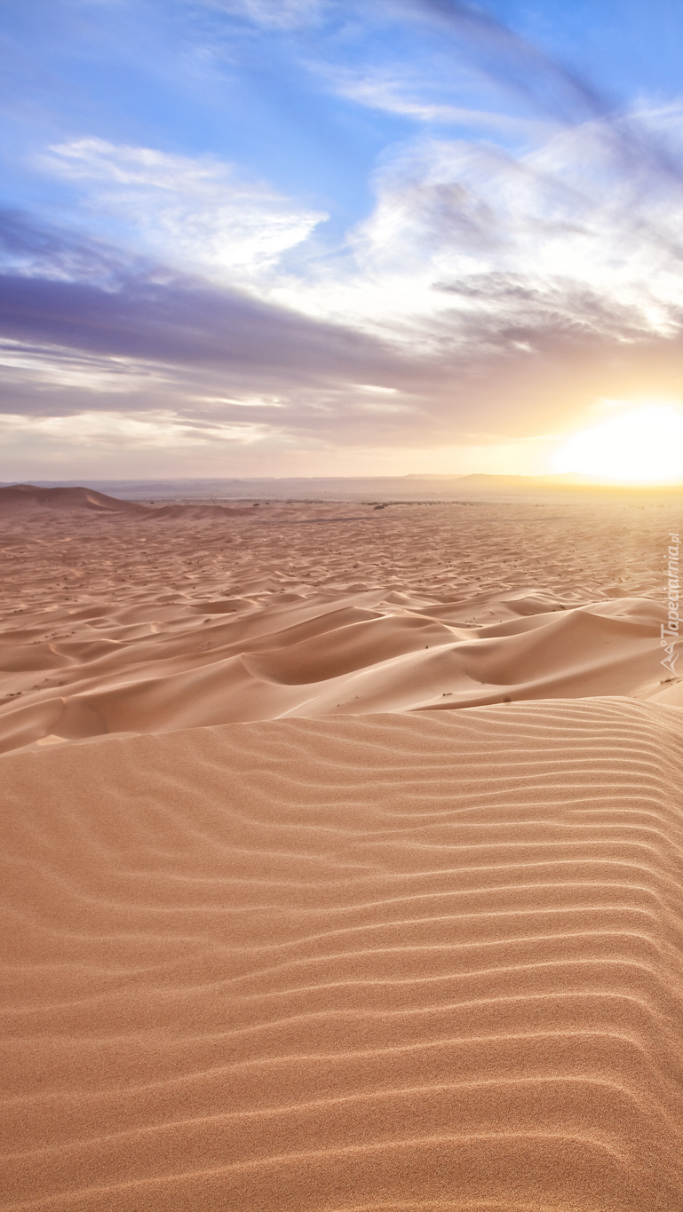 Piaszczysta pustynia o zachodzie słońca