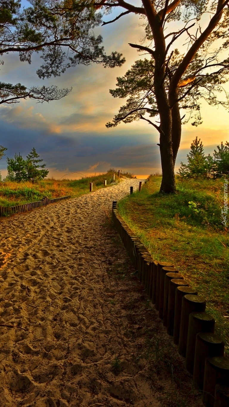 Piaszczystą ścieżką na plażę