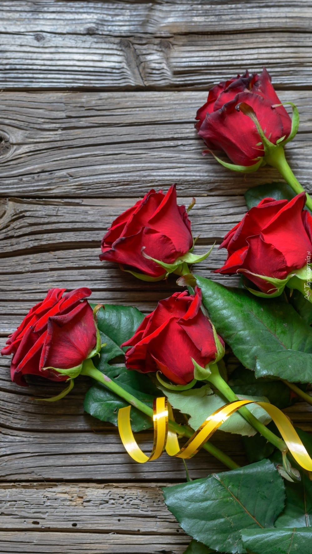 Pięć czerwonych róż z żółtą wstążką na deskach
