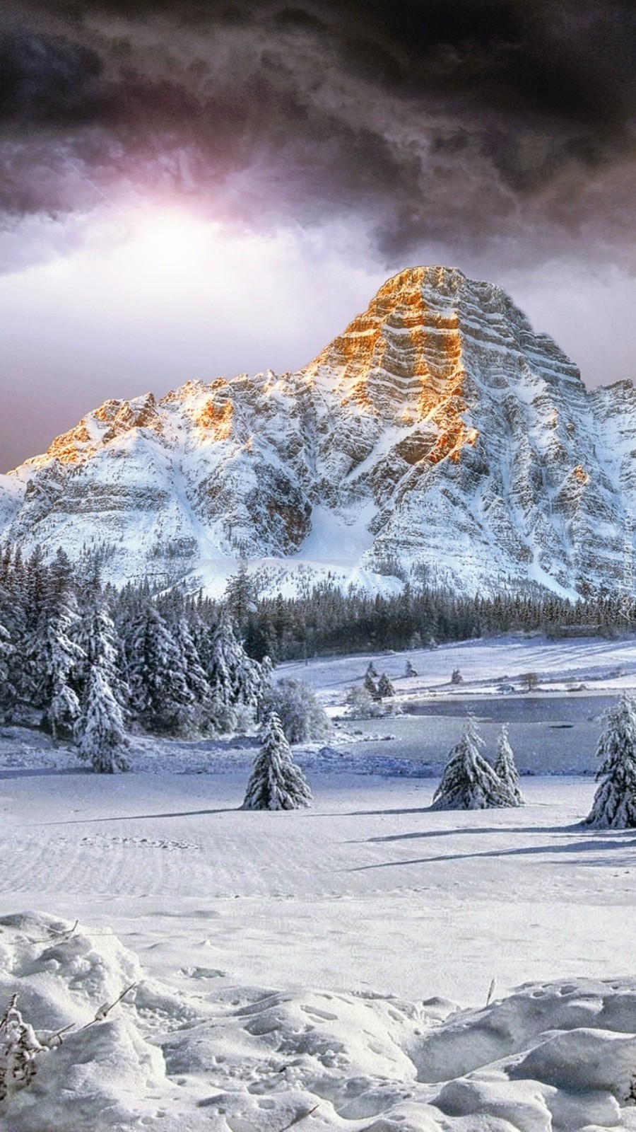 Piękno zimowego krajobrazu