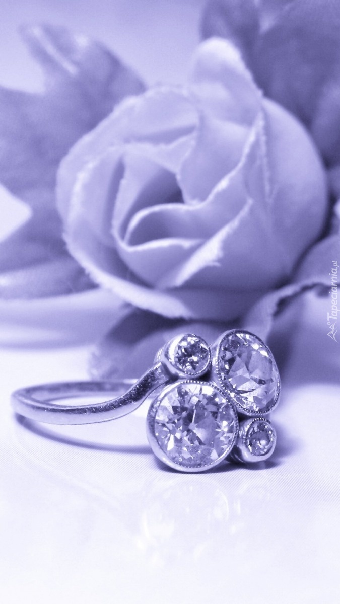 Pierścień i róża