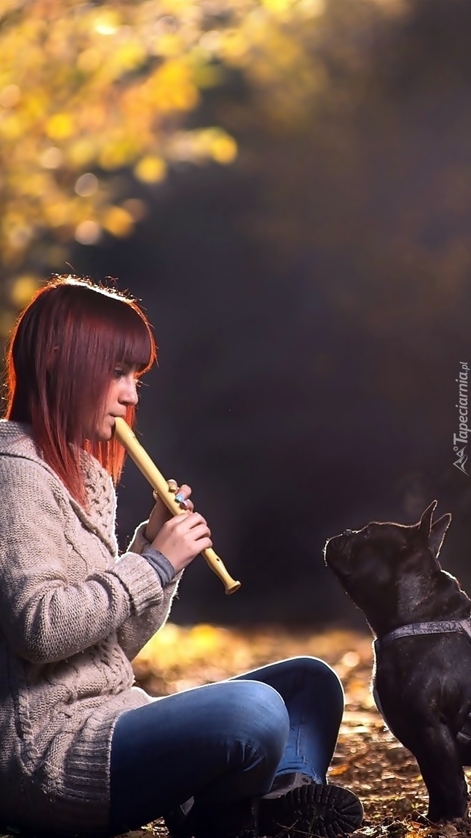 Pies zapatrzony w dziewczynę grającą na flecie