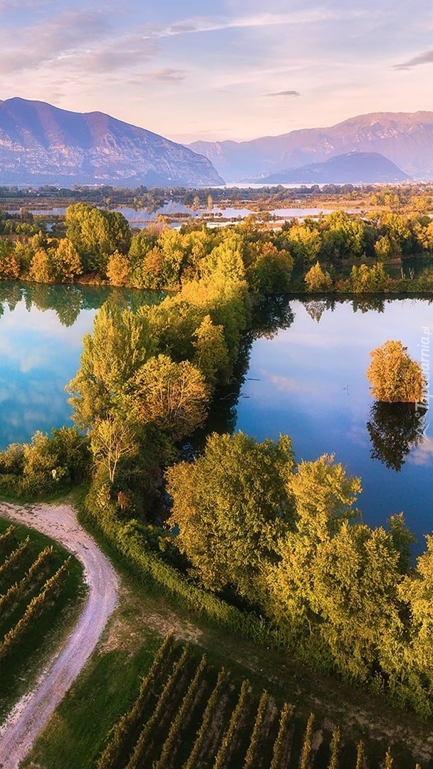 Plantacje i lasy nad jeziorem