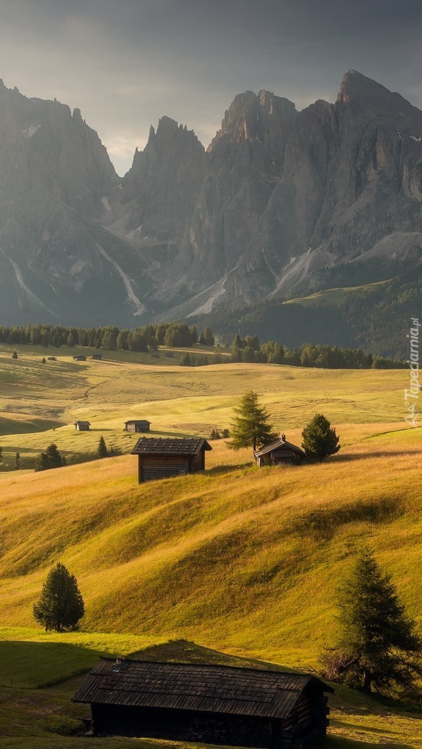 Płaskowyż Seiser Alm w dolinie Val Gardena