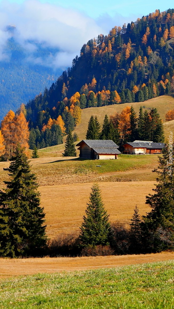 Płaskowyż Seiser Alm we Włoszech