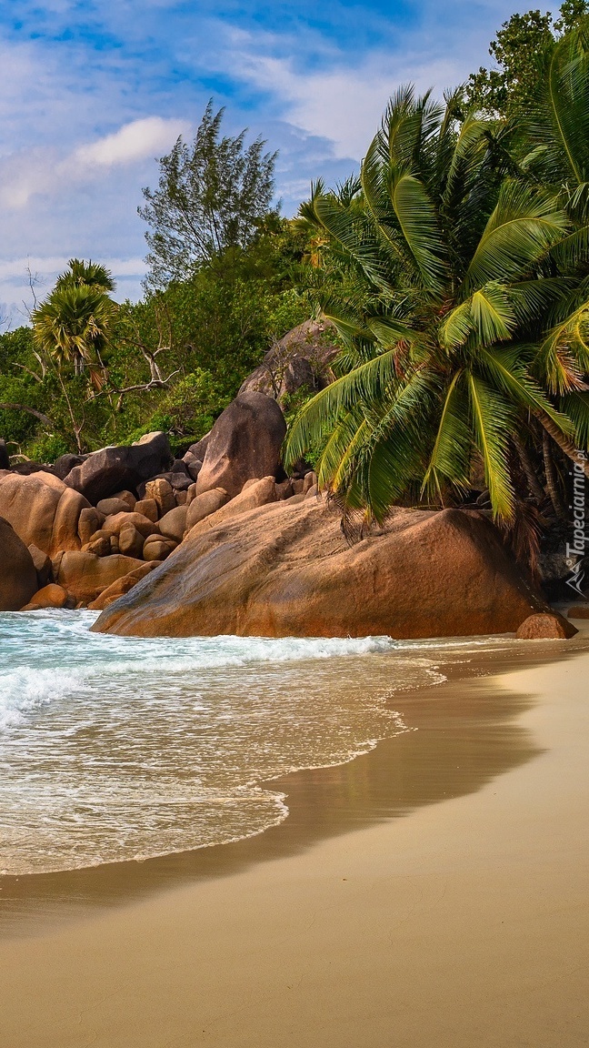 Plaża Anse Lazio na Seszelach