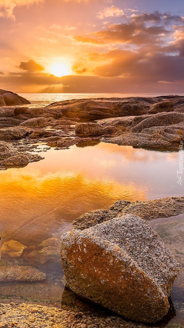 Plaża Boulders Beach w Republice Południowej Afryki