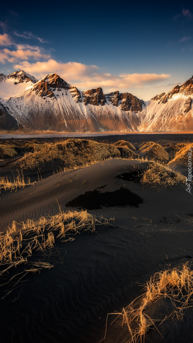 Plaża Stokksnes