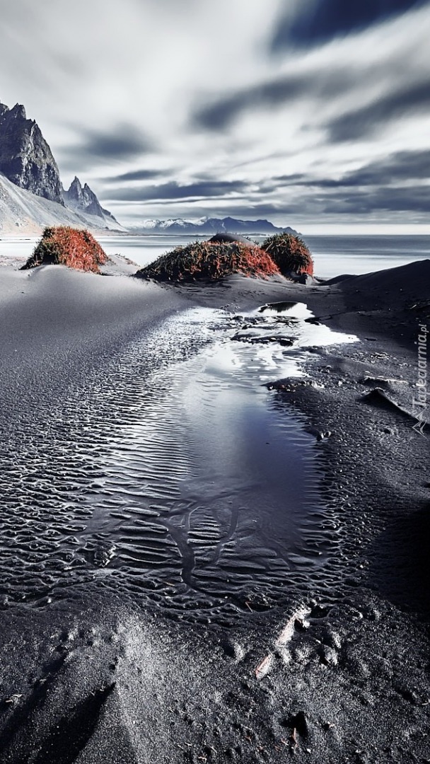 Plaża Stokksnes w Islandii