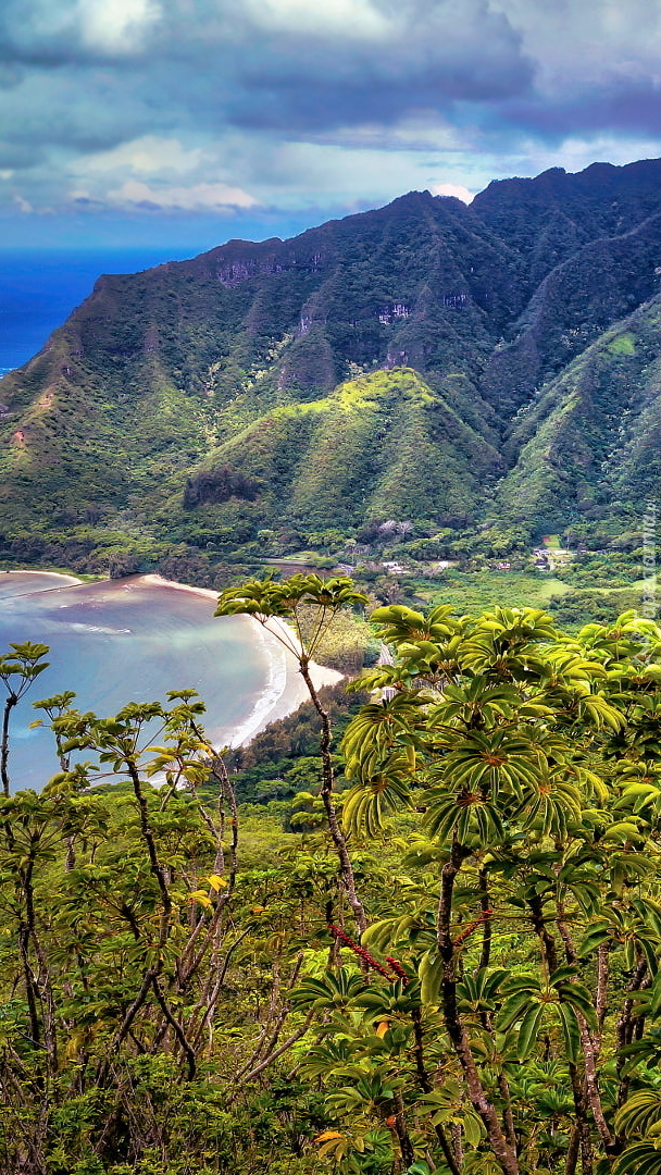 Plaża w dolinie Kahana Valley na Hawajach