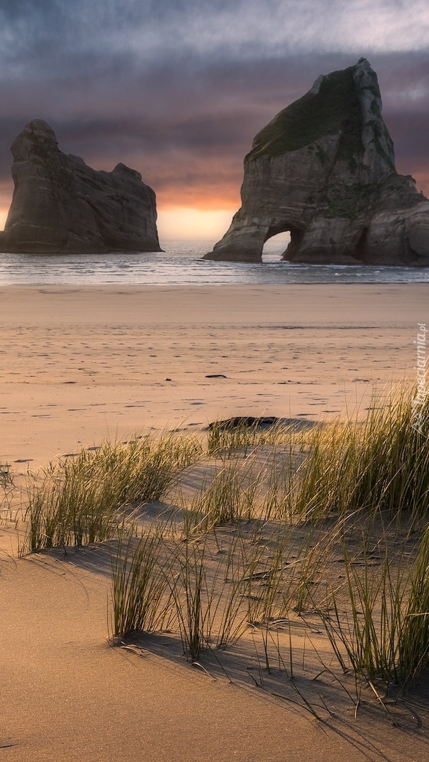 Plaża Wharariki Beach