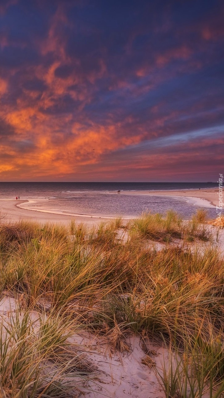 Plaża z wydmami o zachodzie słońca