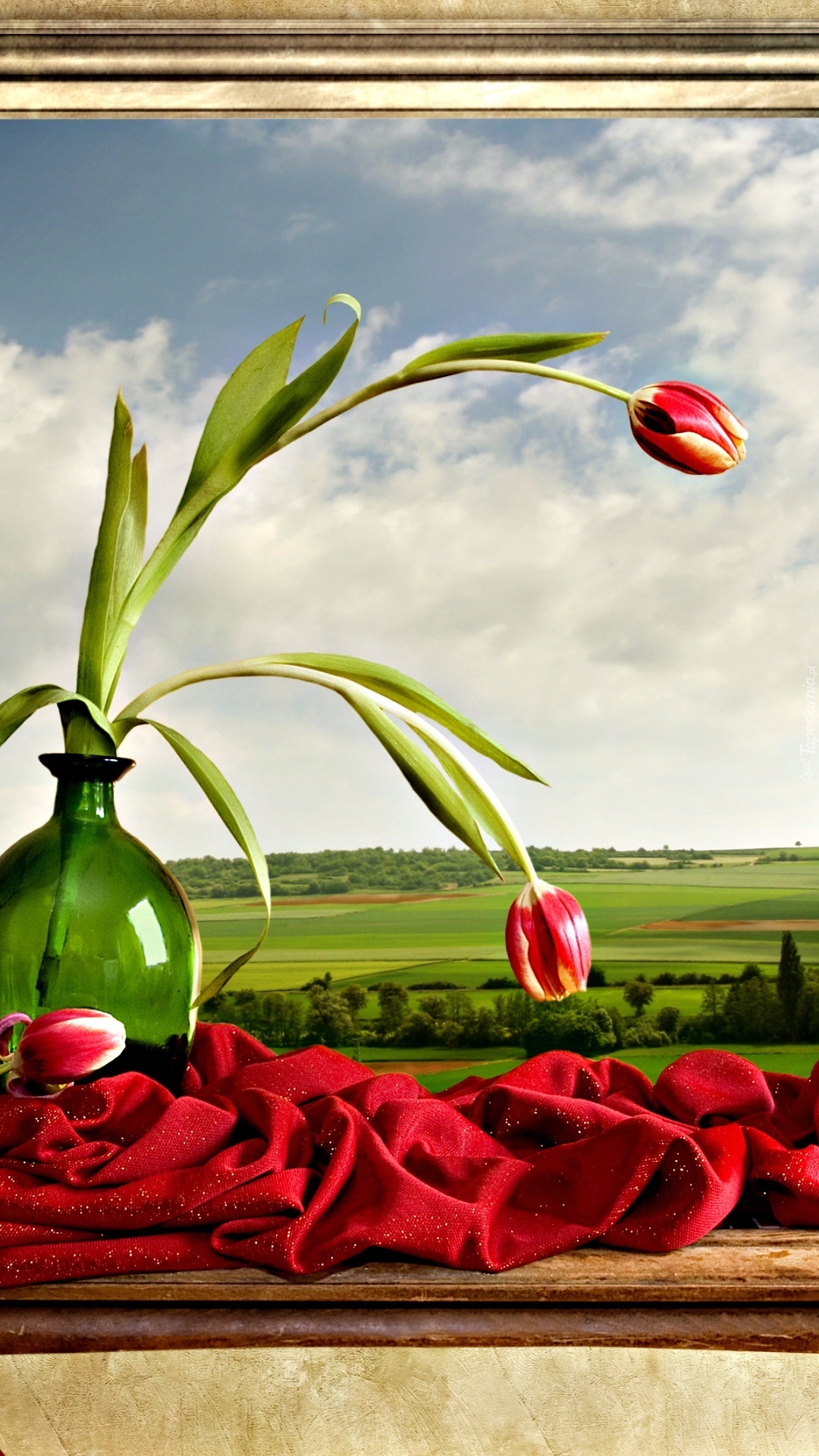 Pochylone tulipany w wazonie