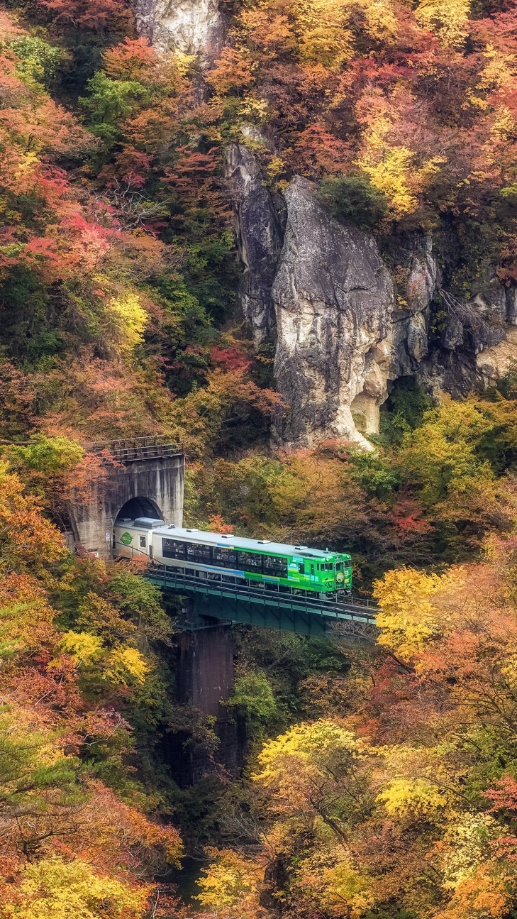 Pociąg na wiadukcie jesienną porą