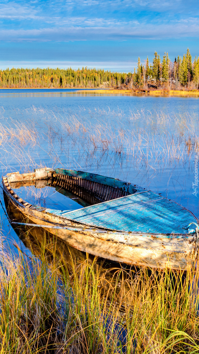 Podtopiona łódka na jeziorze