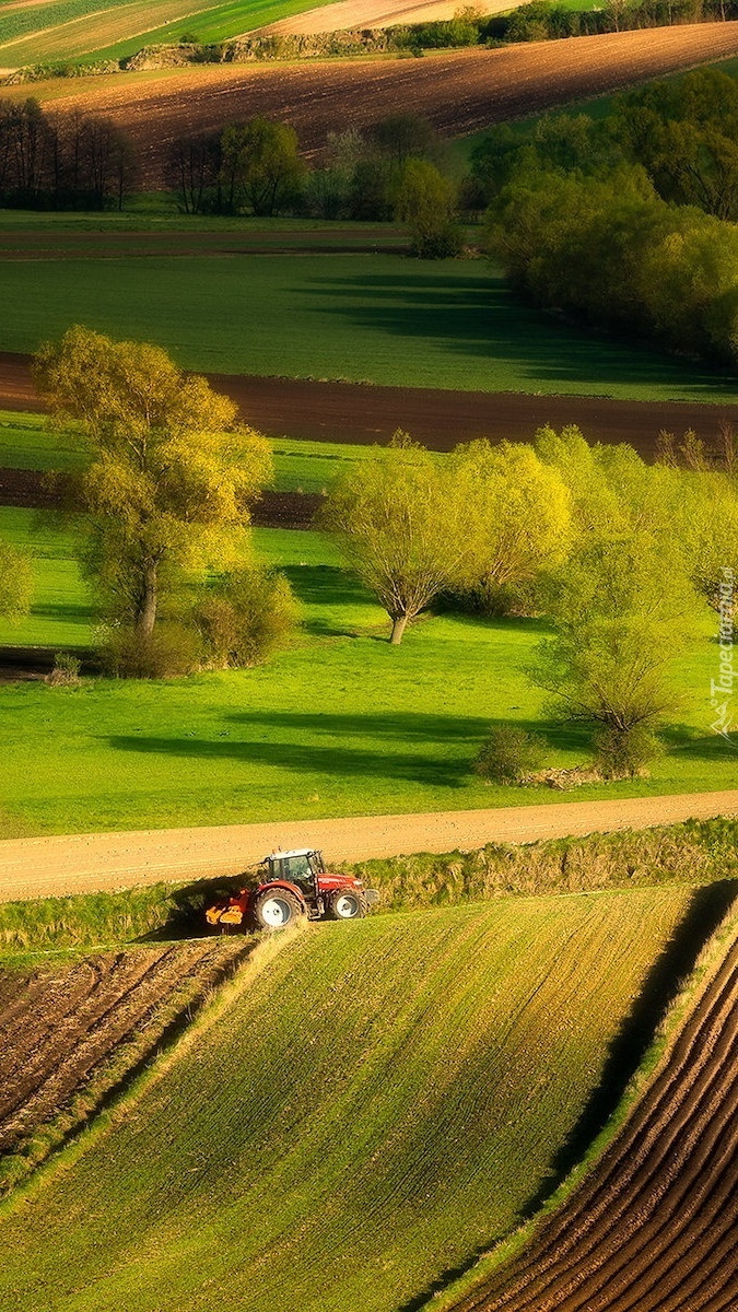 Pola na Ponidziu