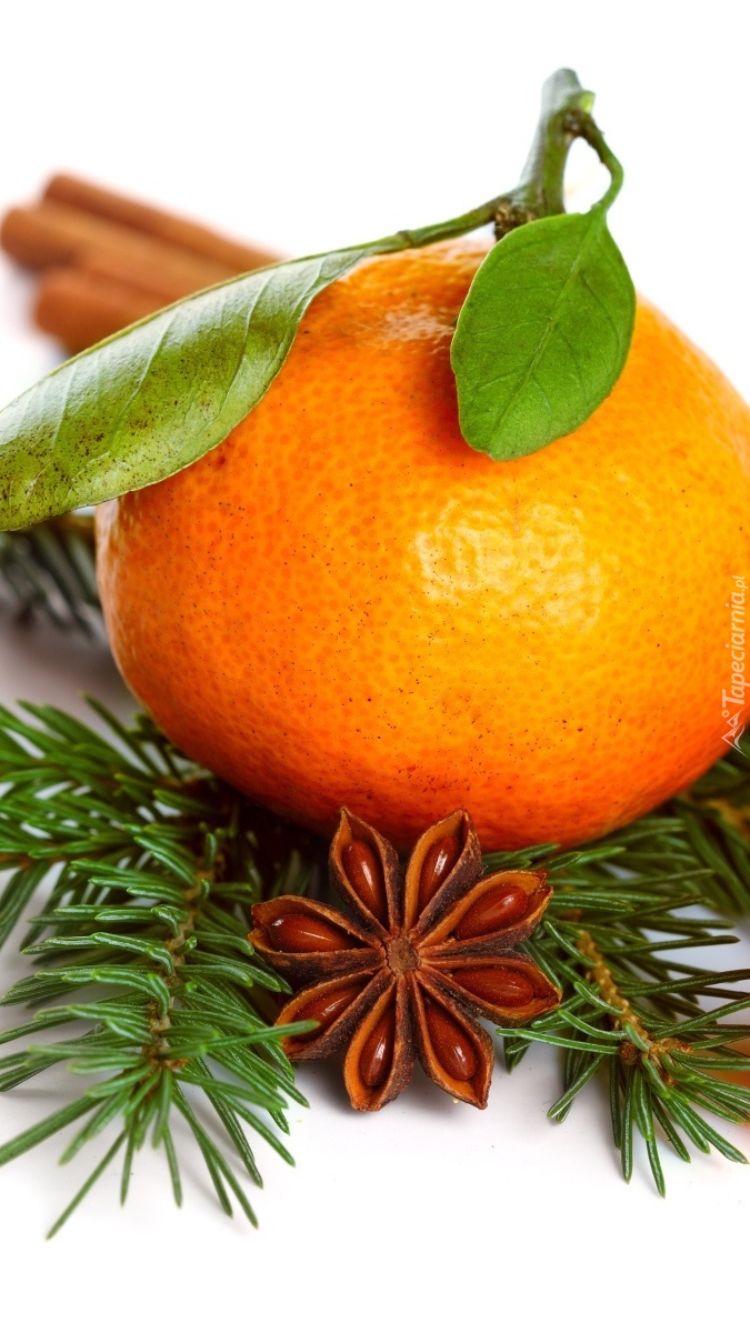 Pomarańcza z anyżem