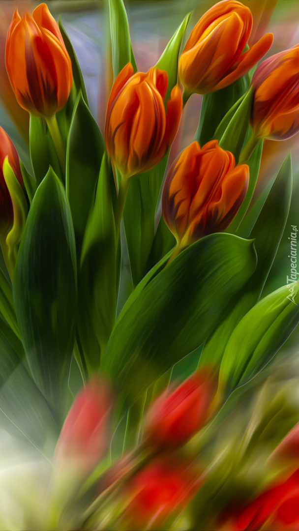 Pomarańczowe tulipany w grafice