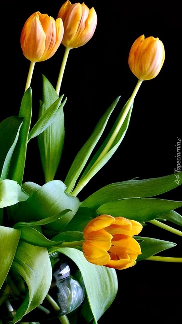 Pomarańczowe tulipany w wazonie