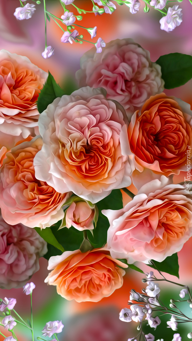 Pomarańczowo-różowe róże