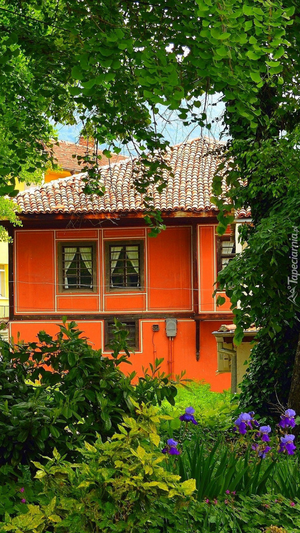 Pomarańczowy dom