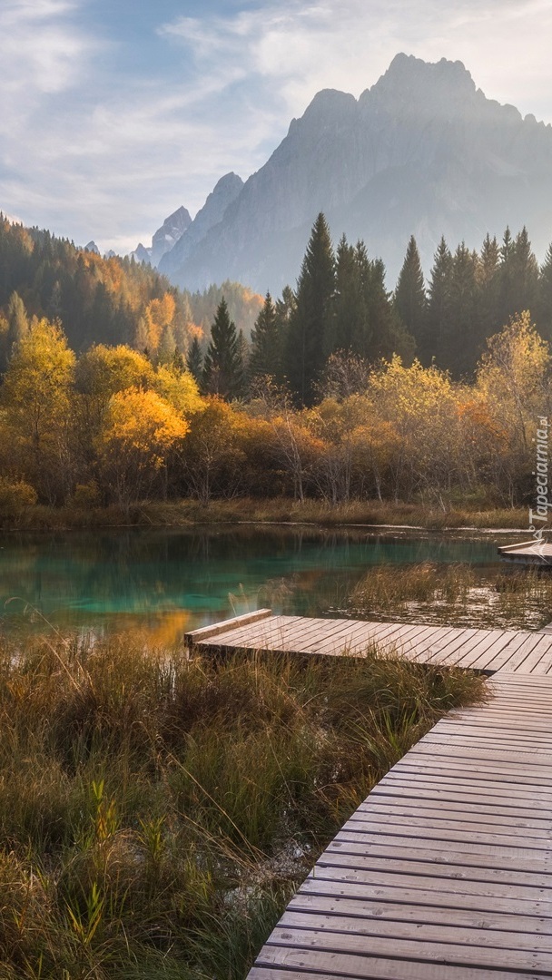 Pomost nad jeziorem Zelenci