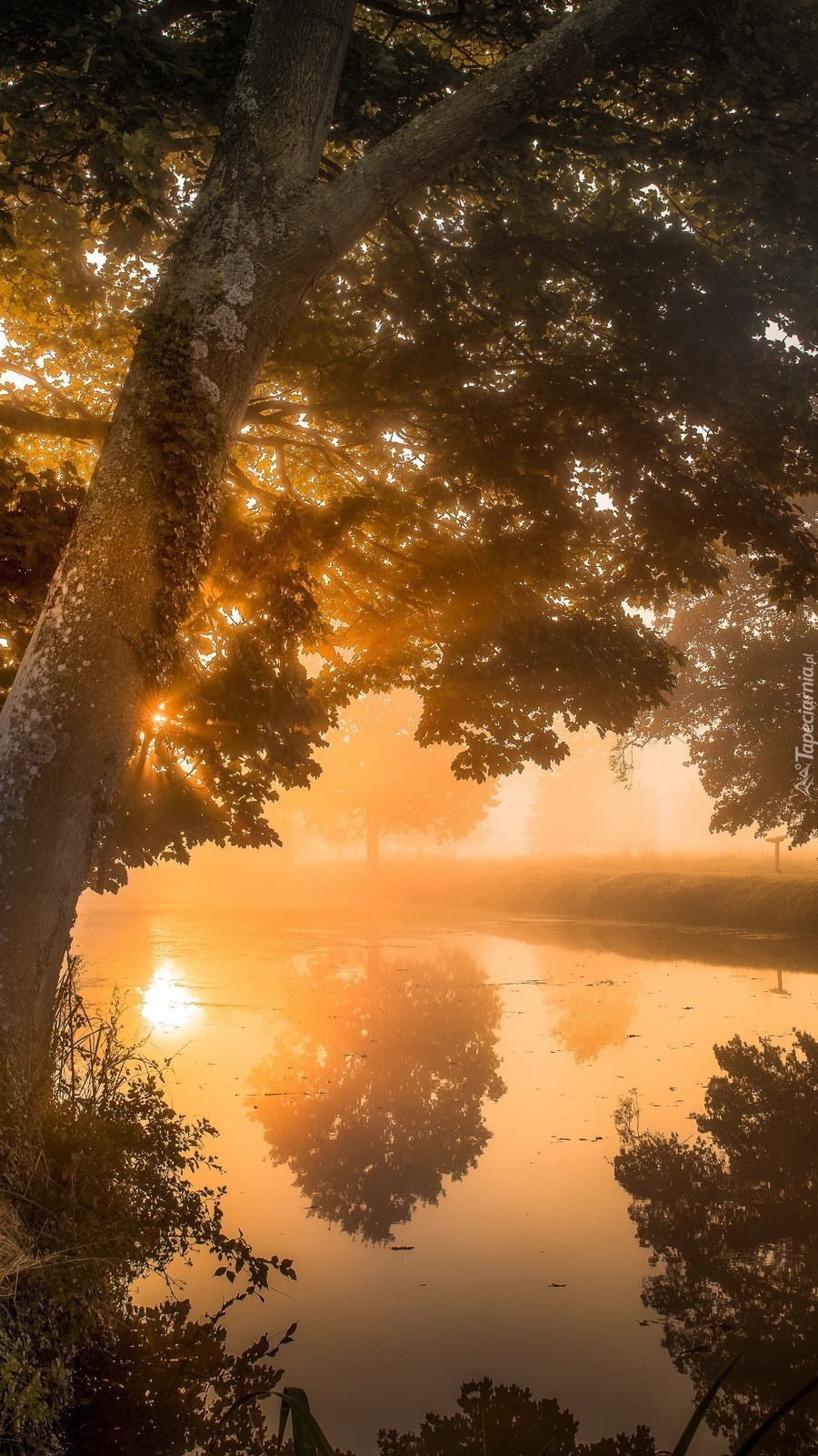 Poranek nad rzeką