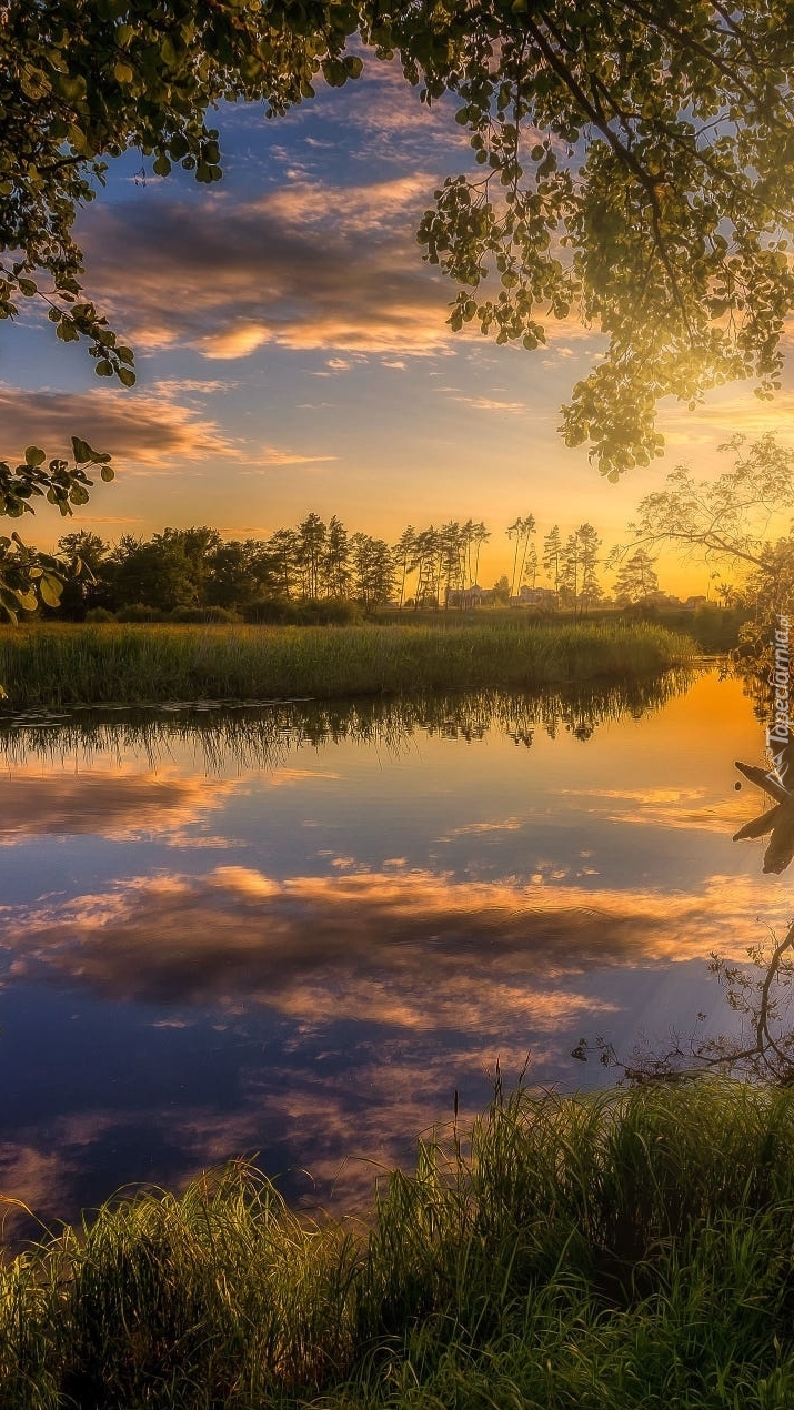 Poranek nad rzeką