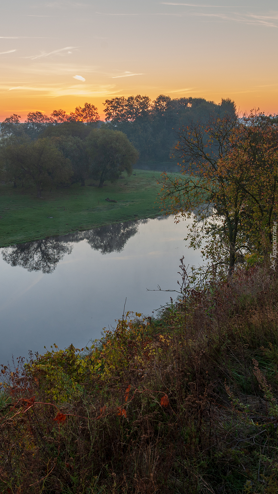 Poranek nad rzeką