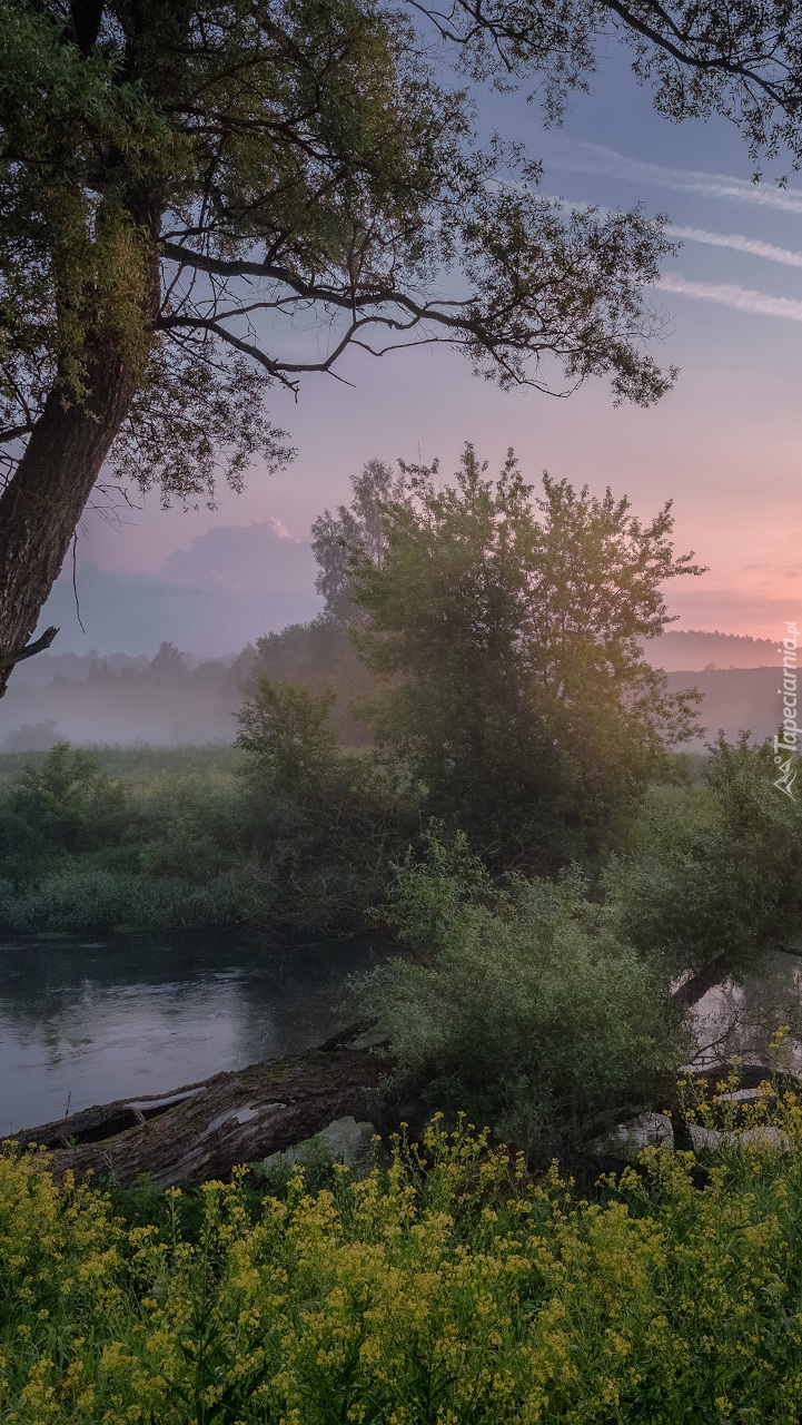 Poranek nad rzeką Istra