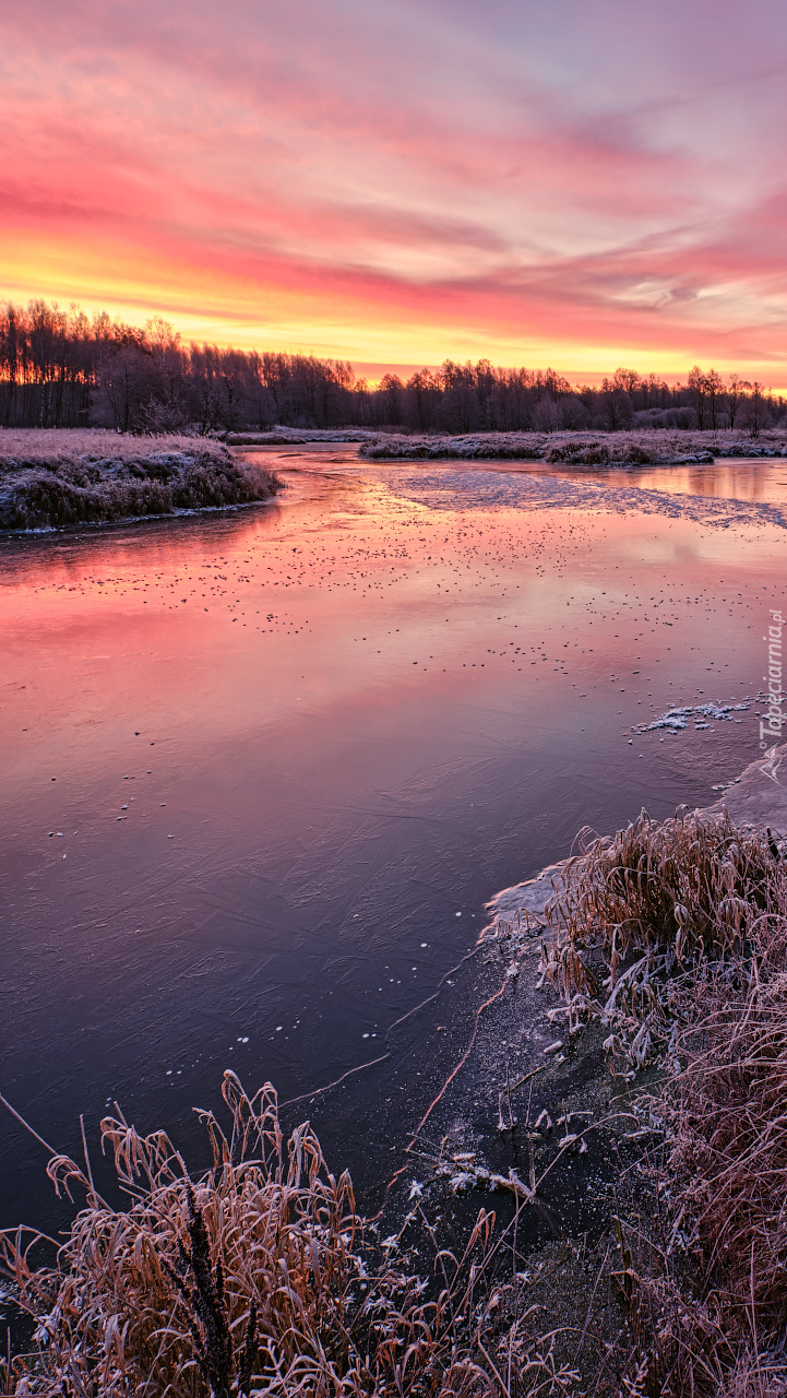 Poranek nad zamarzającą rzeką