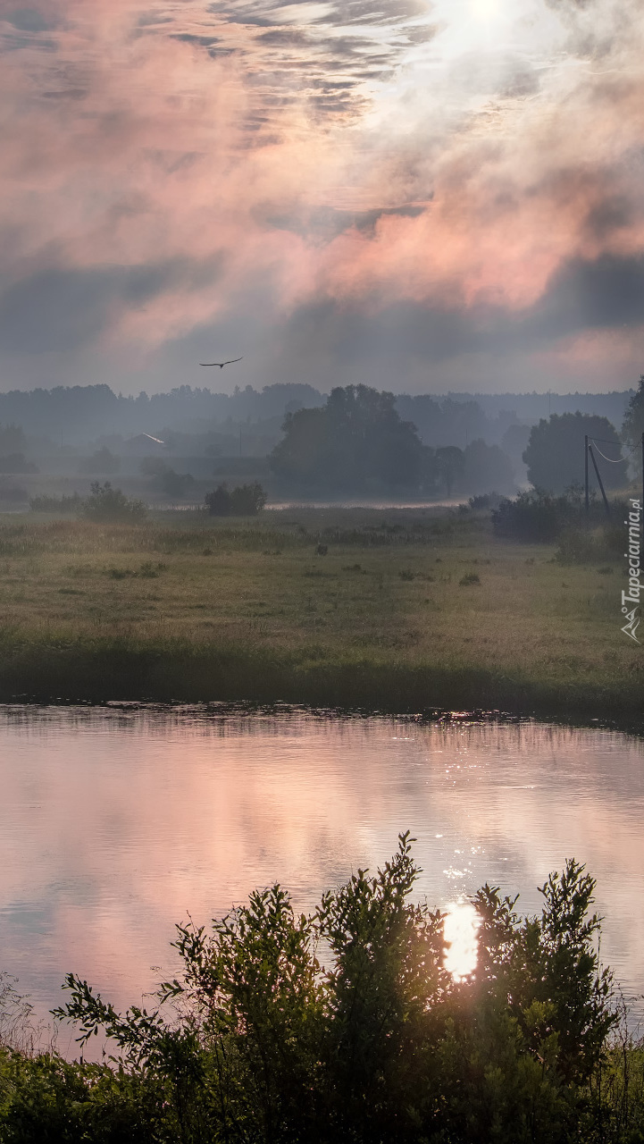 Poranek nad zamgloną łąką i rzeką